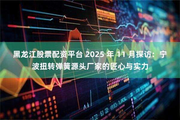 黑龙江股票配资平台 2025 年 11 月探访：宁波扭转弹簧源头厂家的匠心与实力